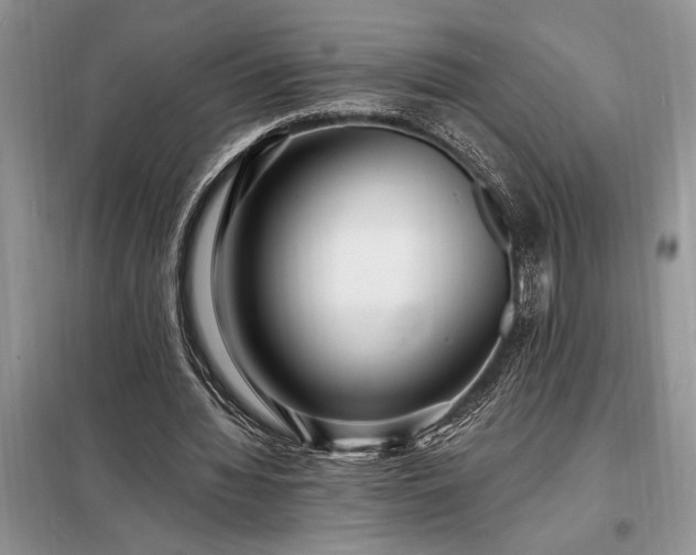 X0000098200436200805011150