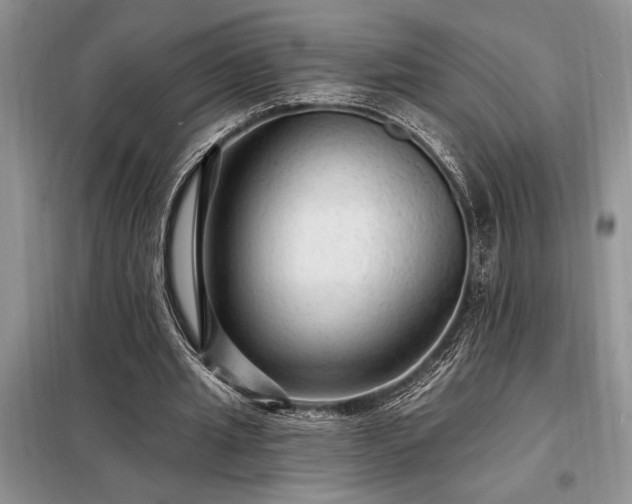 X0000098200437200805011151