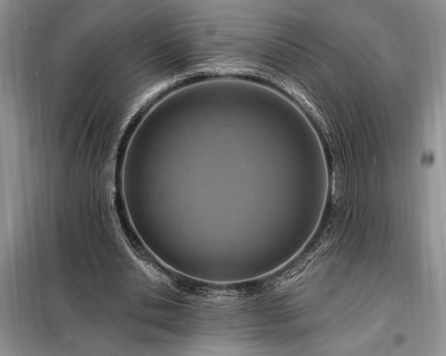X0000098200438200805011151