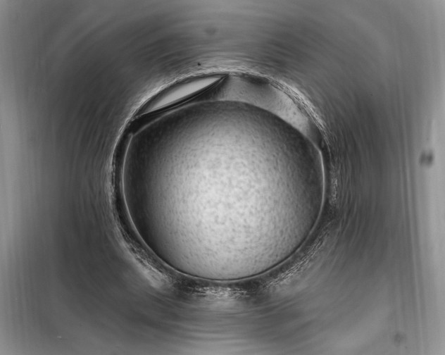 X0000098200439200805011151