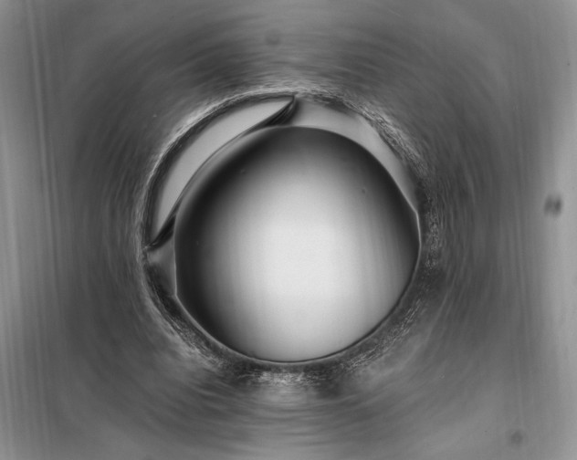 X0000098200440200805011151