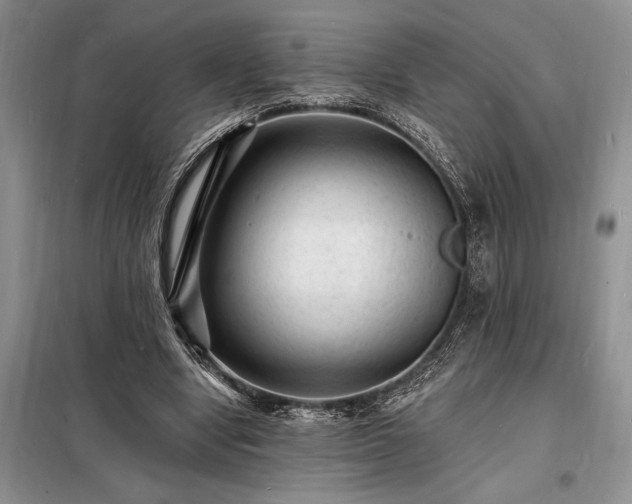 X0000098200442200805011151