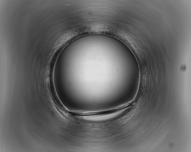 X0000098200443200805011151