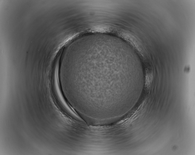 X0000098200444200805011151