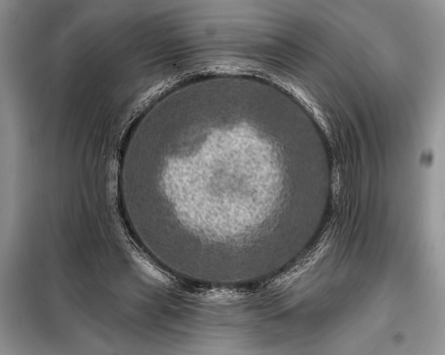 X0000098200445200805011151