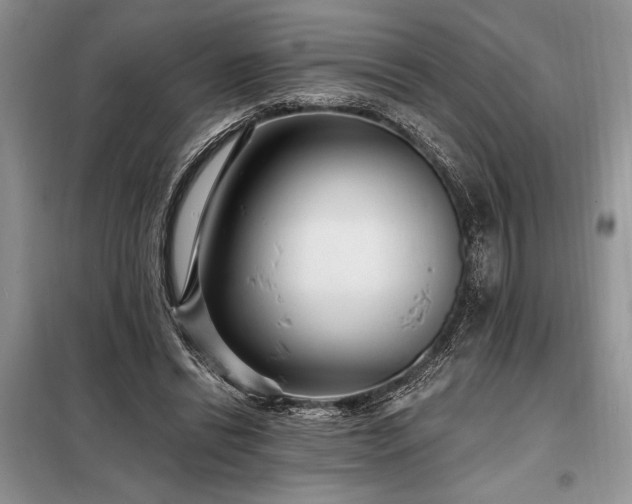 X0000098200446200805011151
