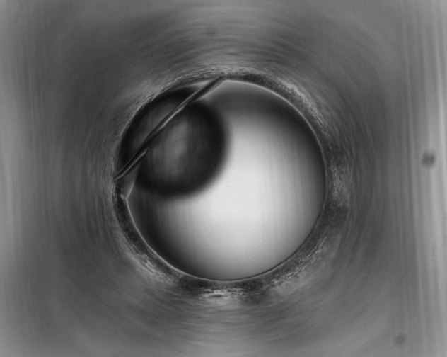 X0000098200447200805011151