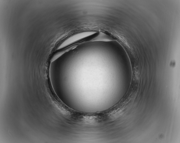 X0000098200450200805011151