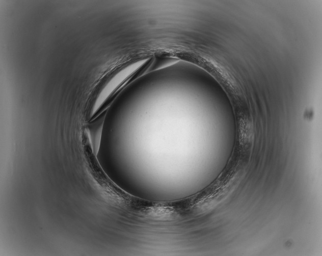 X0000098200451200805011151