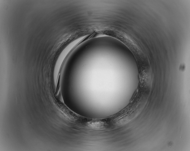 X0000098200452200805011151