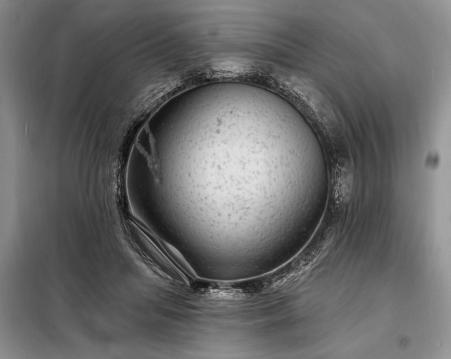 X0000098200455200805011151