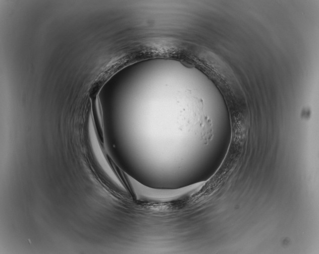 X0000098200456200805011151