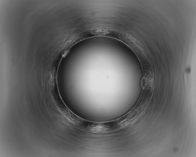 X0000098200460200805011151