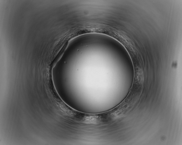 X0000098200461200805011151
