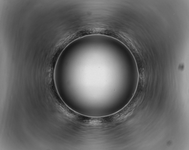 X0000098200462200805011151