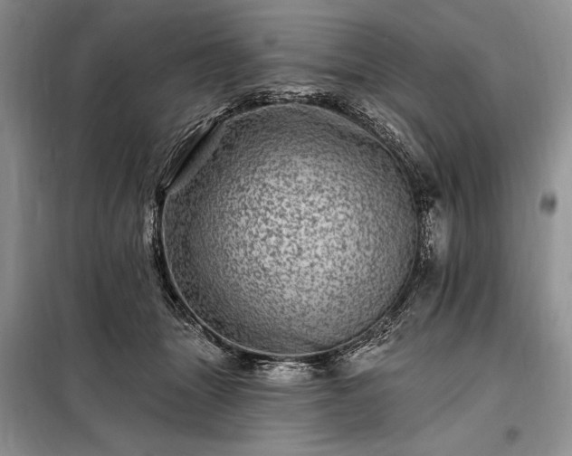 X0000098200463200805011151