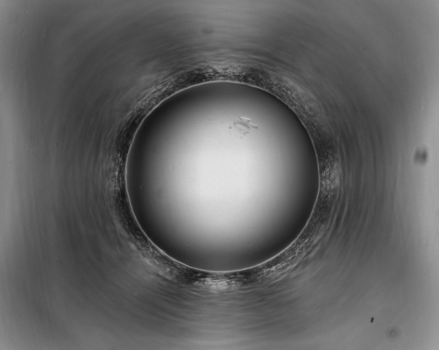 X0000098200464200805011151