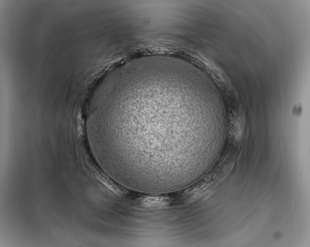 X0000098200465200805011151