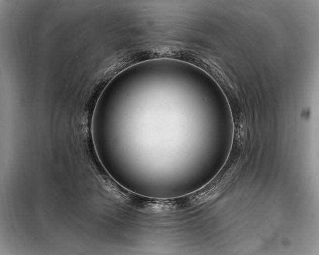 X0000098200466200805011151