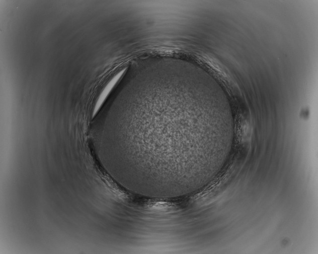 X0000098200467200805011151