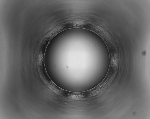 X0000098200468200805011151