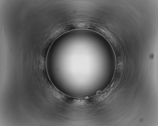 X0000098200469200805011151