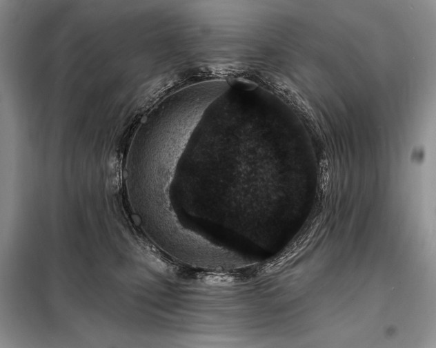 X0000098200471200805011151