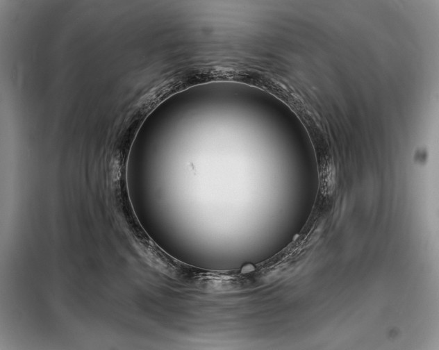 X0000098200472200805011151