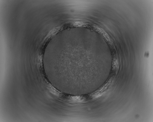 X0000098200473200805011151
