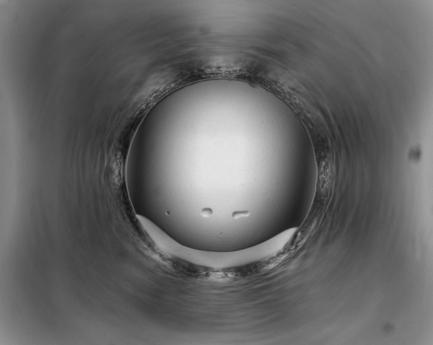 X0000098200474200805011151