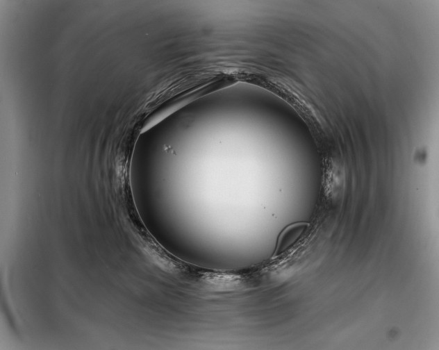 X0000098200476200805011151