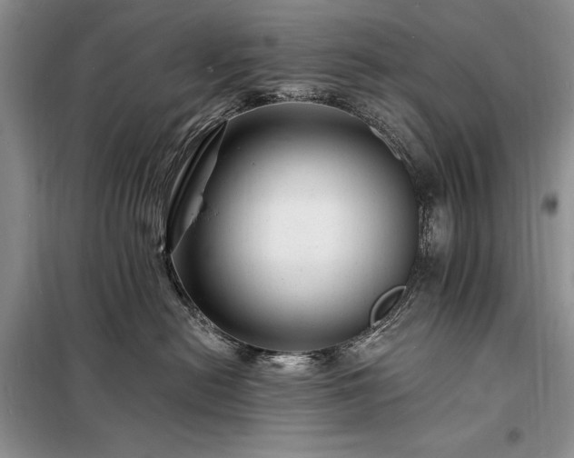 X0000098200478200805011151