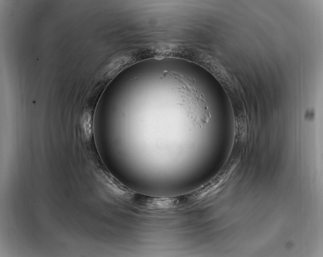 X0000098200479200805011151