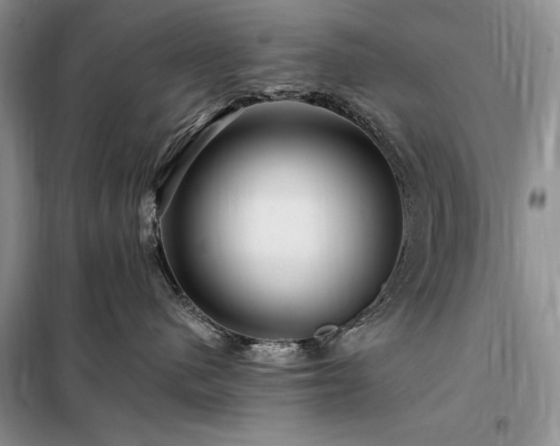 X0000098200480200805011151