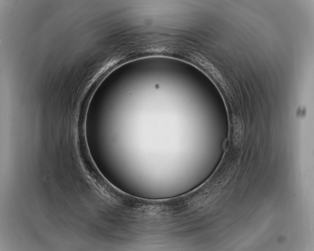 X0000098200482200805011150