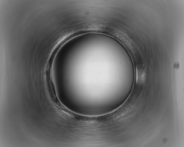 X0000098200483200805011150