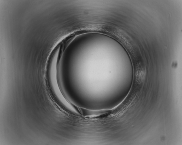 X0000098200484200805011150