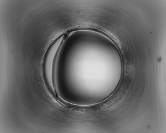 X0000098200485200805011150