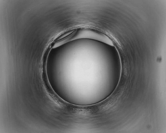 X0000098200486200805011150