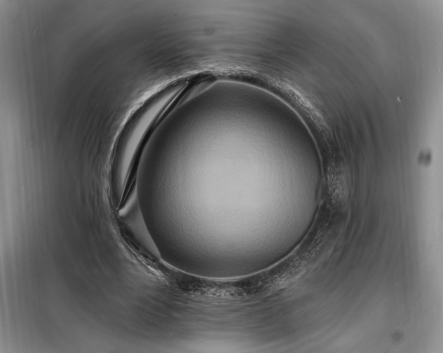 X0000098200488200805011150