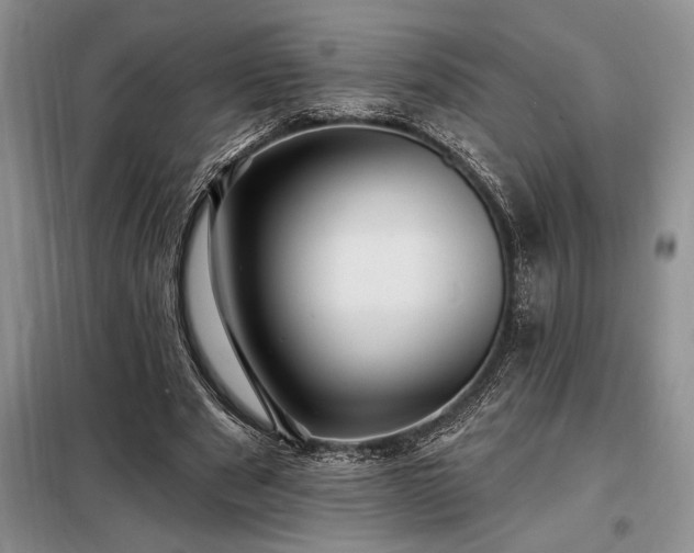 X0000098200489200805011150
