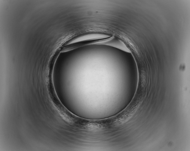 X0000098200490200805011150