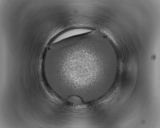 X0000098200491200805011150