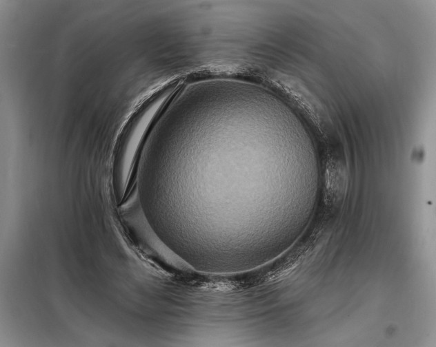 X0000098200492200805011150