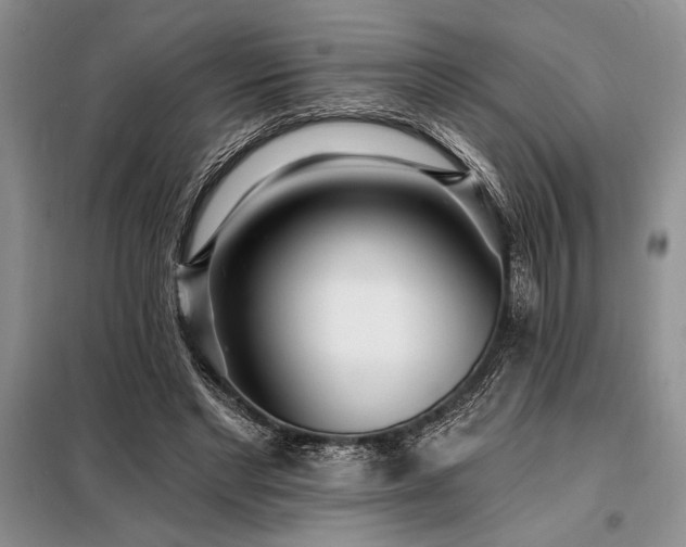 X0000098200493200805011150