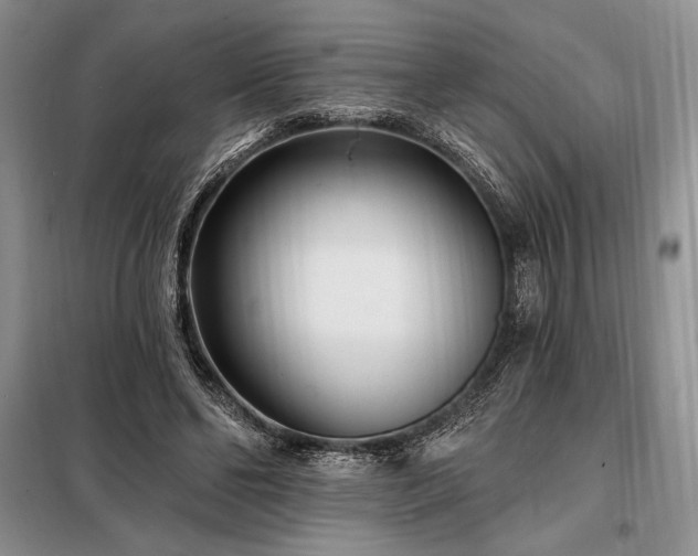 X0000098200494200805011150