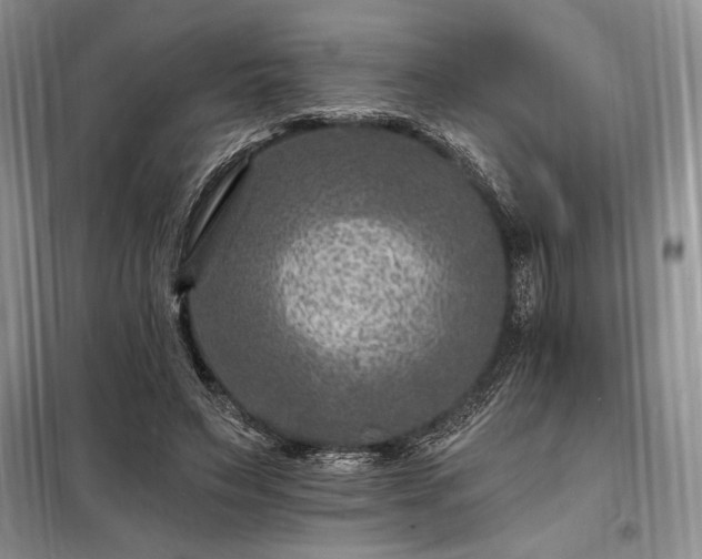 X0000098200495200805011150