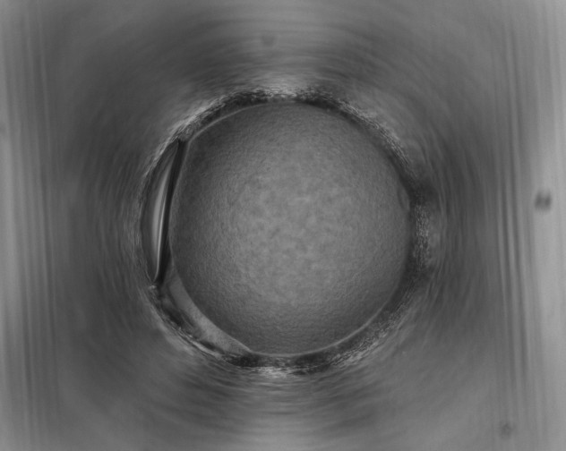 X0000098200496200805011150