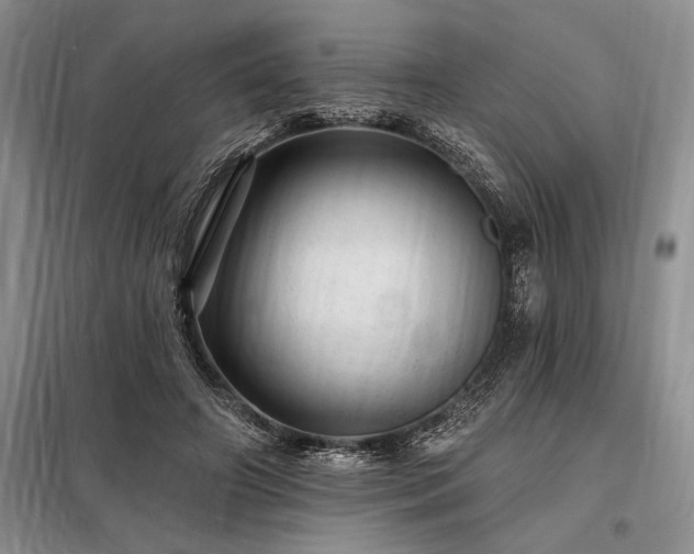 X0000098200498200805011150