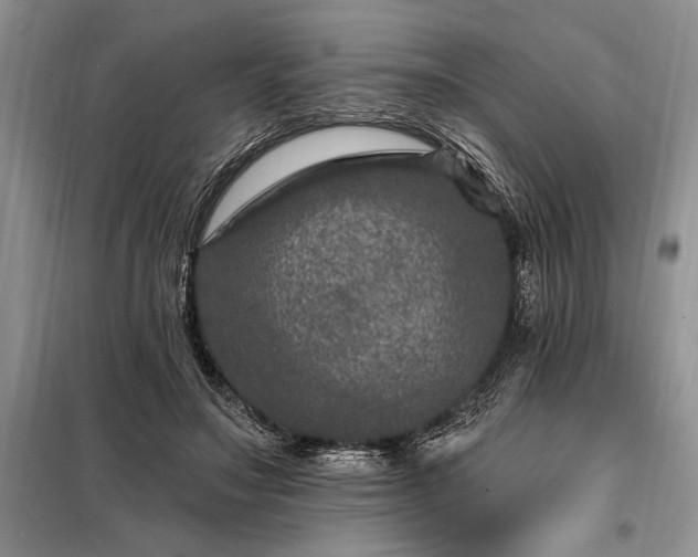 X0000098200499200805011150